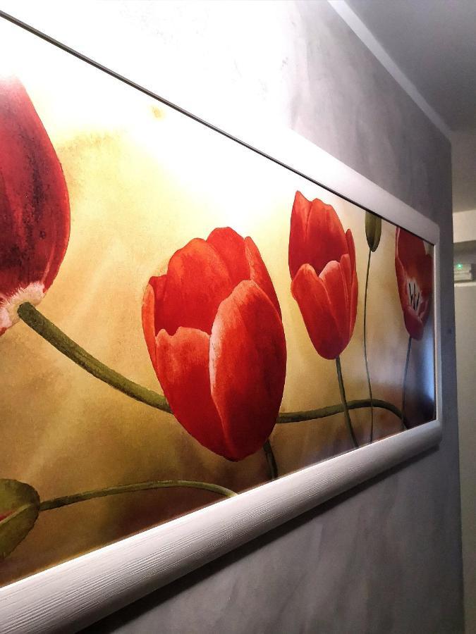 Hotel Alcazar リミニ エクステリア 写真